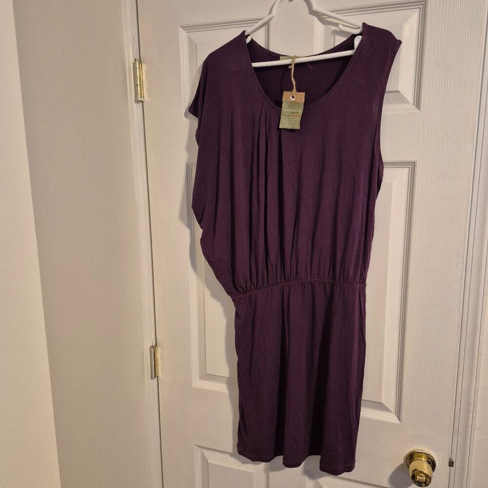 Alternative Apparel Earth Dress